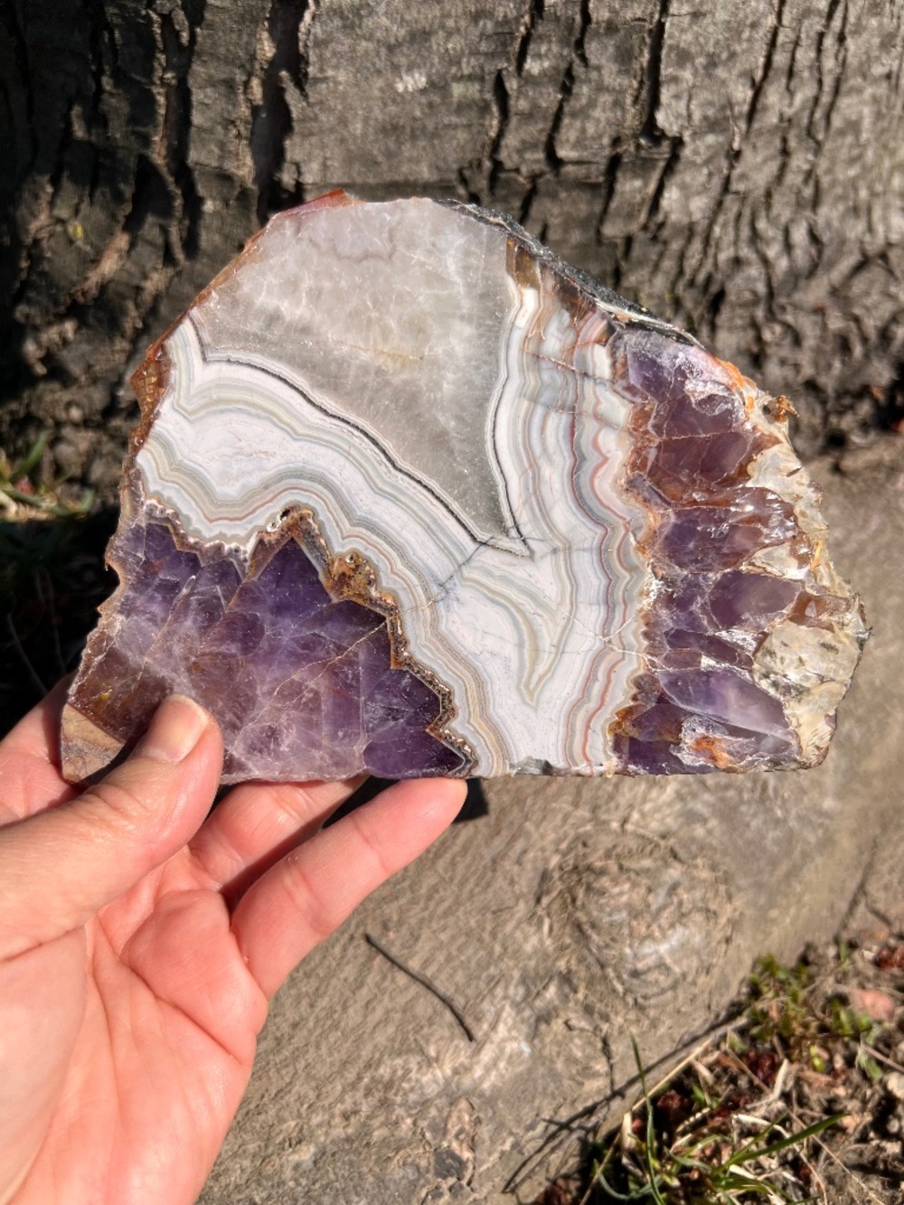 Amethyst (3) lace agate slab with stand | crystal